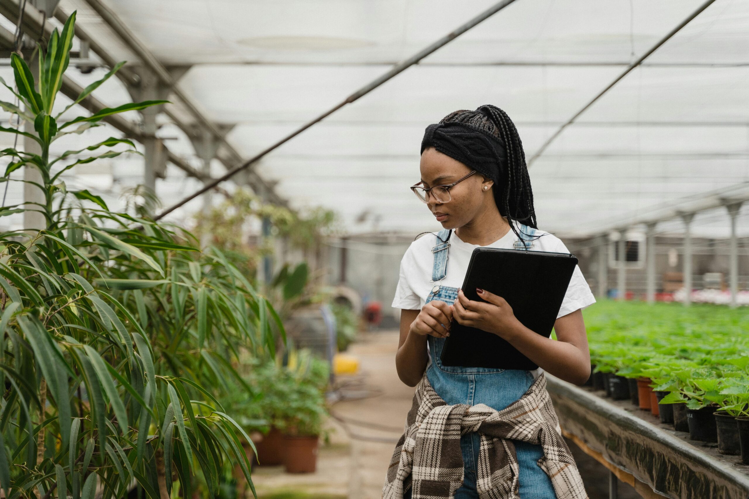 Woman in a greenhouse studying plants with a tablet, ideal for horticulture themes.