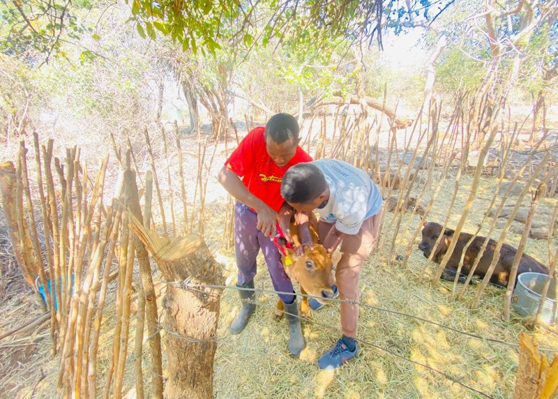 screenshot 20260102 120005~2