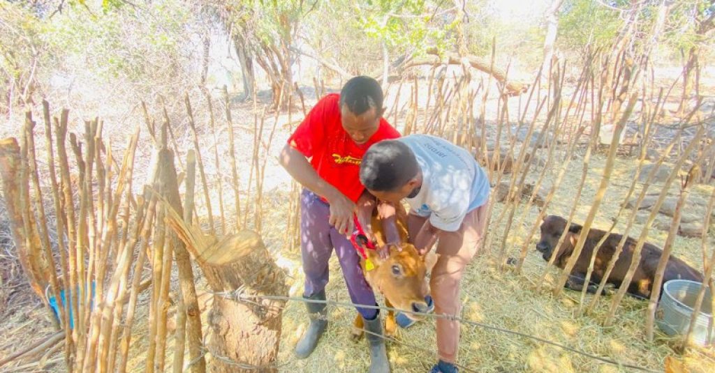 screenshot 20260102 120005~2